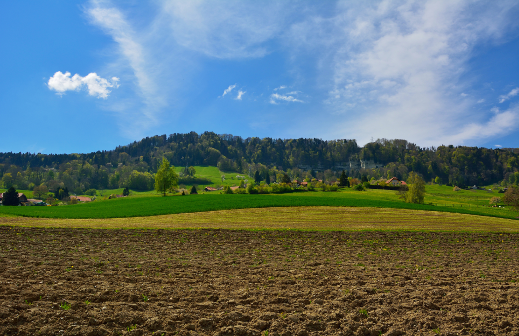 李強主持召開國務院第二次全體會議